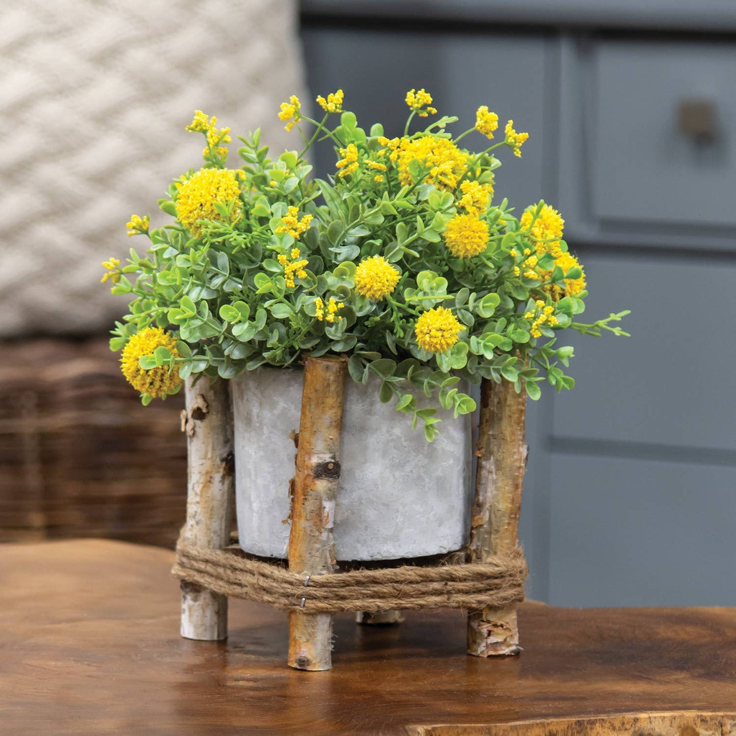 Small Cement Planter in Wooden Frame