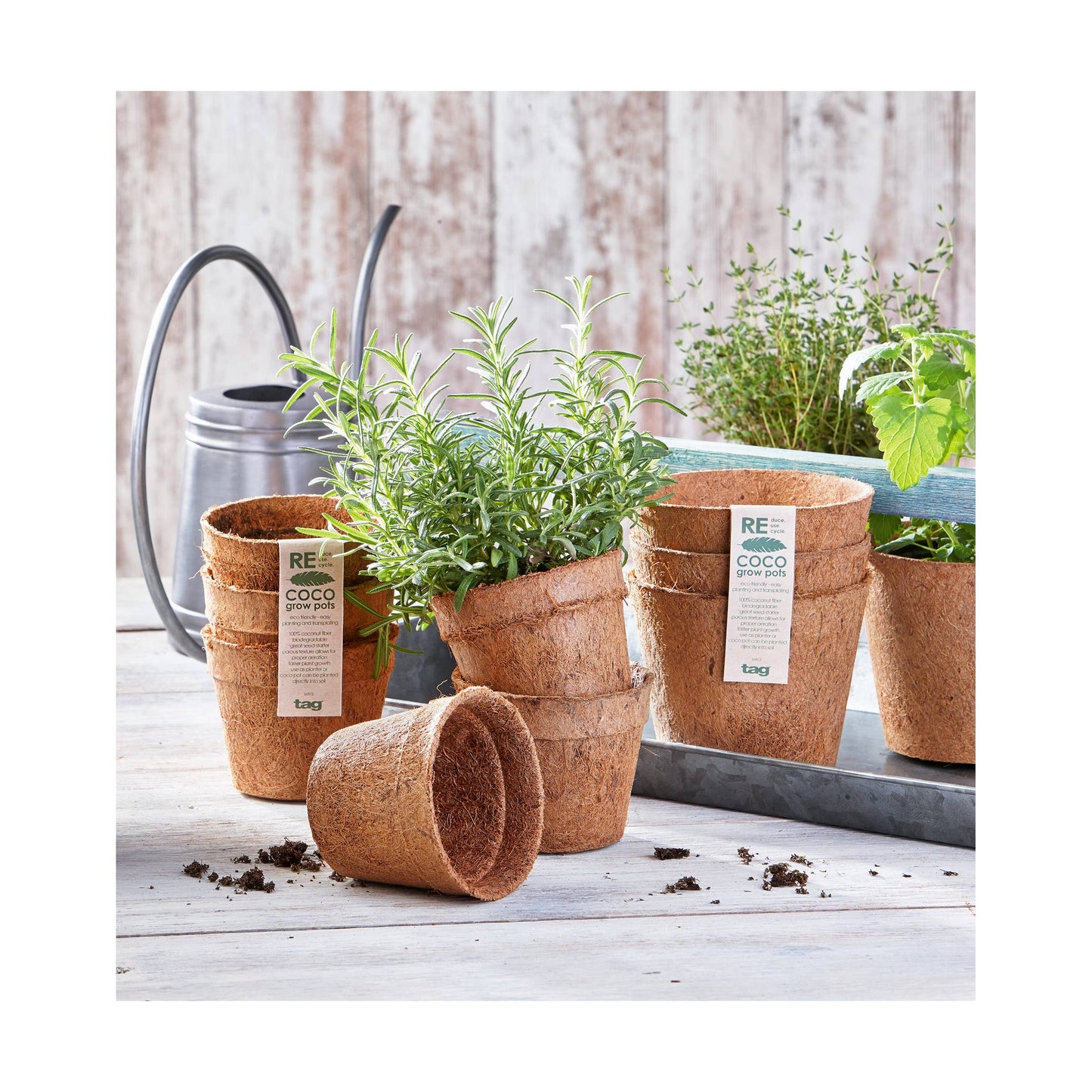 Eco Coco Seed Start Pot Small Set of 3 Natural Coconut Fiber