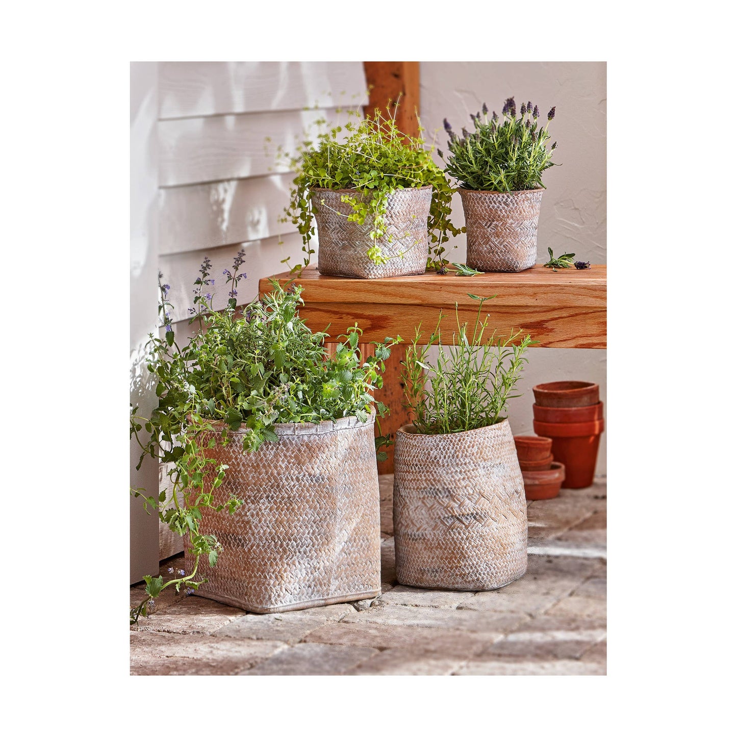 Tulum Cement Basket Planter Small Natural Summer