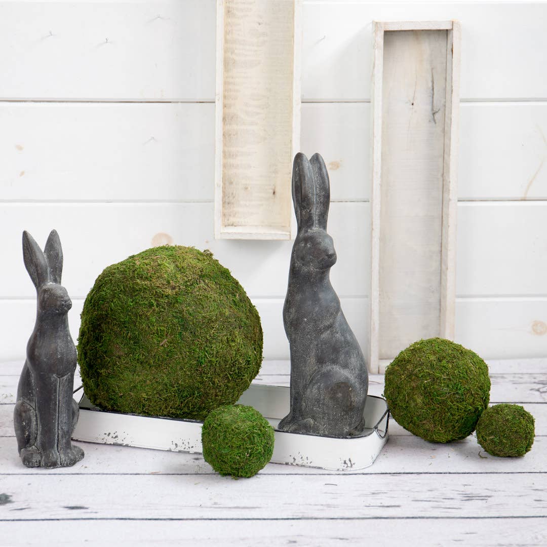 Round Moss Ball Garden Arrangement 4"