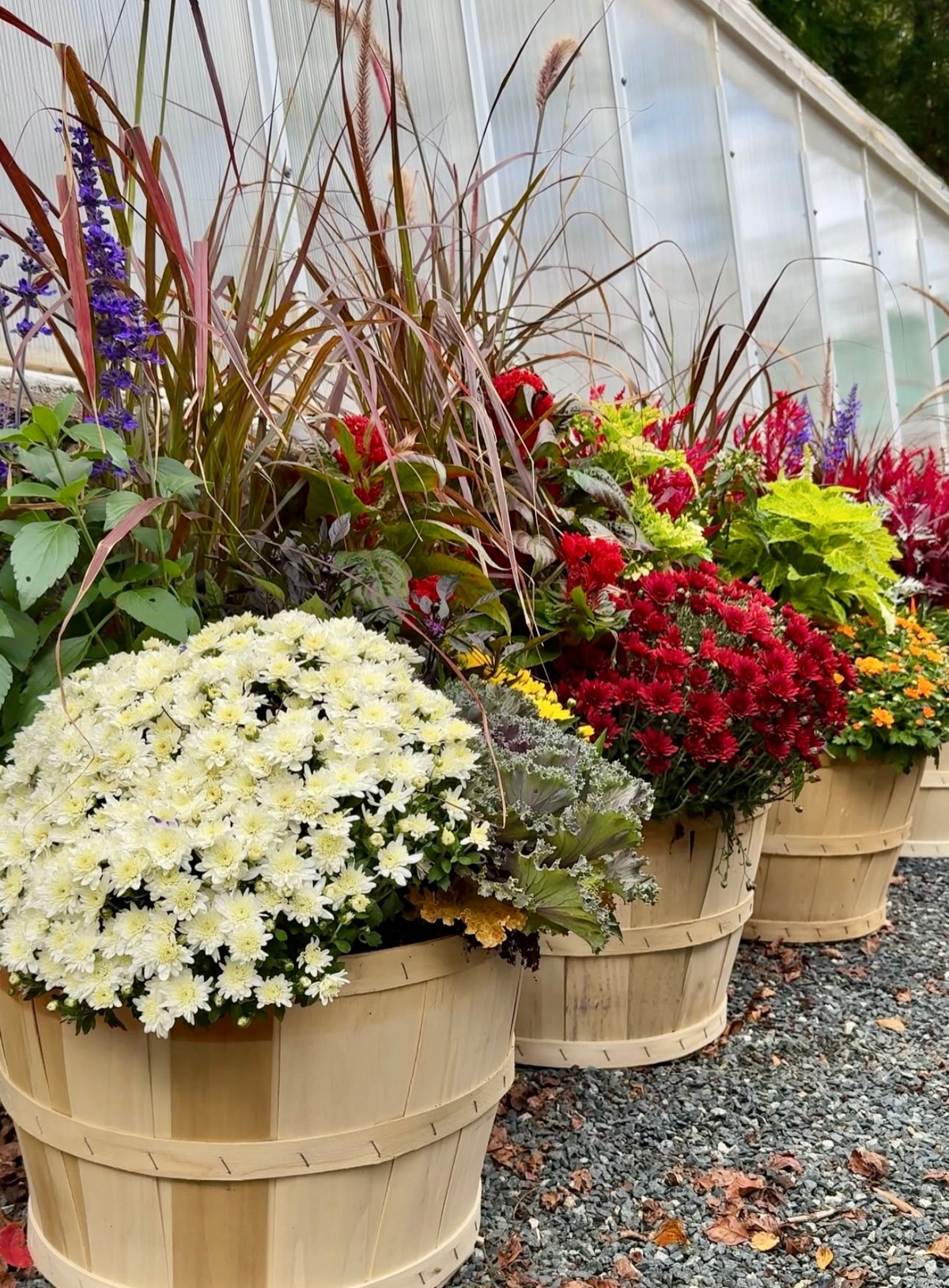 Bushel Basket Planter w Fall Foliage