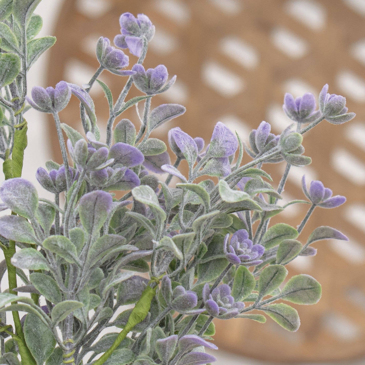 Dusk Lavender Buds Bush, 12"
