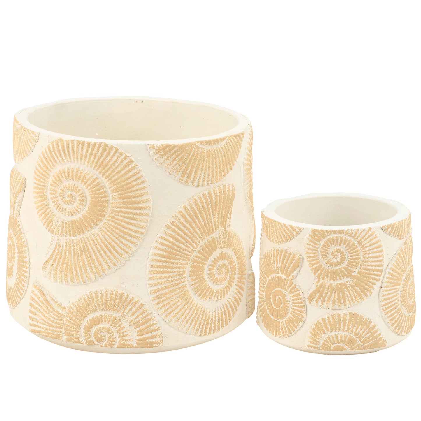 Nautilus Shell Planter