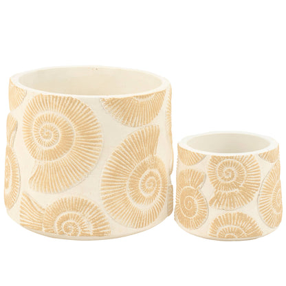 Nautilus Shell Planter