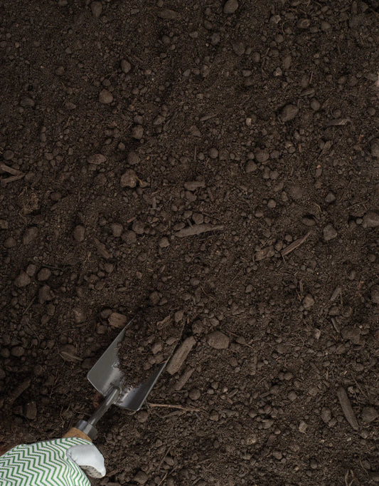 Double Screened Topsoil