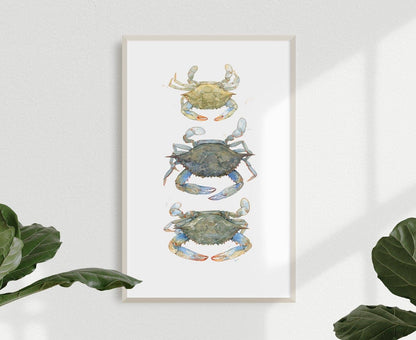 Blue Crabs Watercolor Painting Print