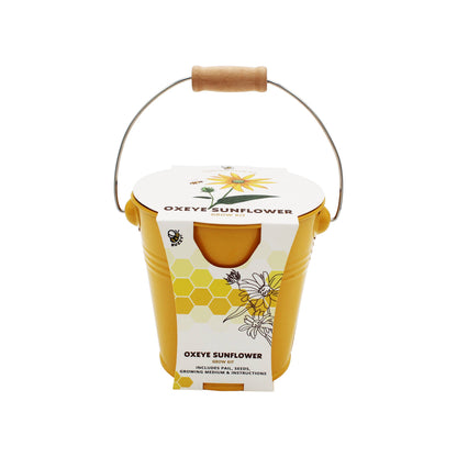 Pollinator Grow Kit