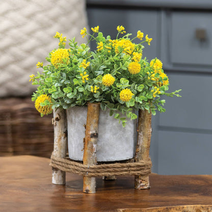 Small Cement Planter in Wooden Frame