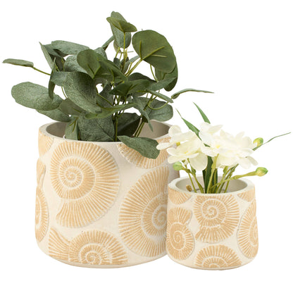 Nautilus Shell Planter