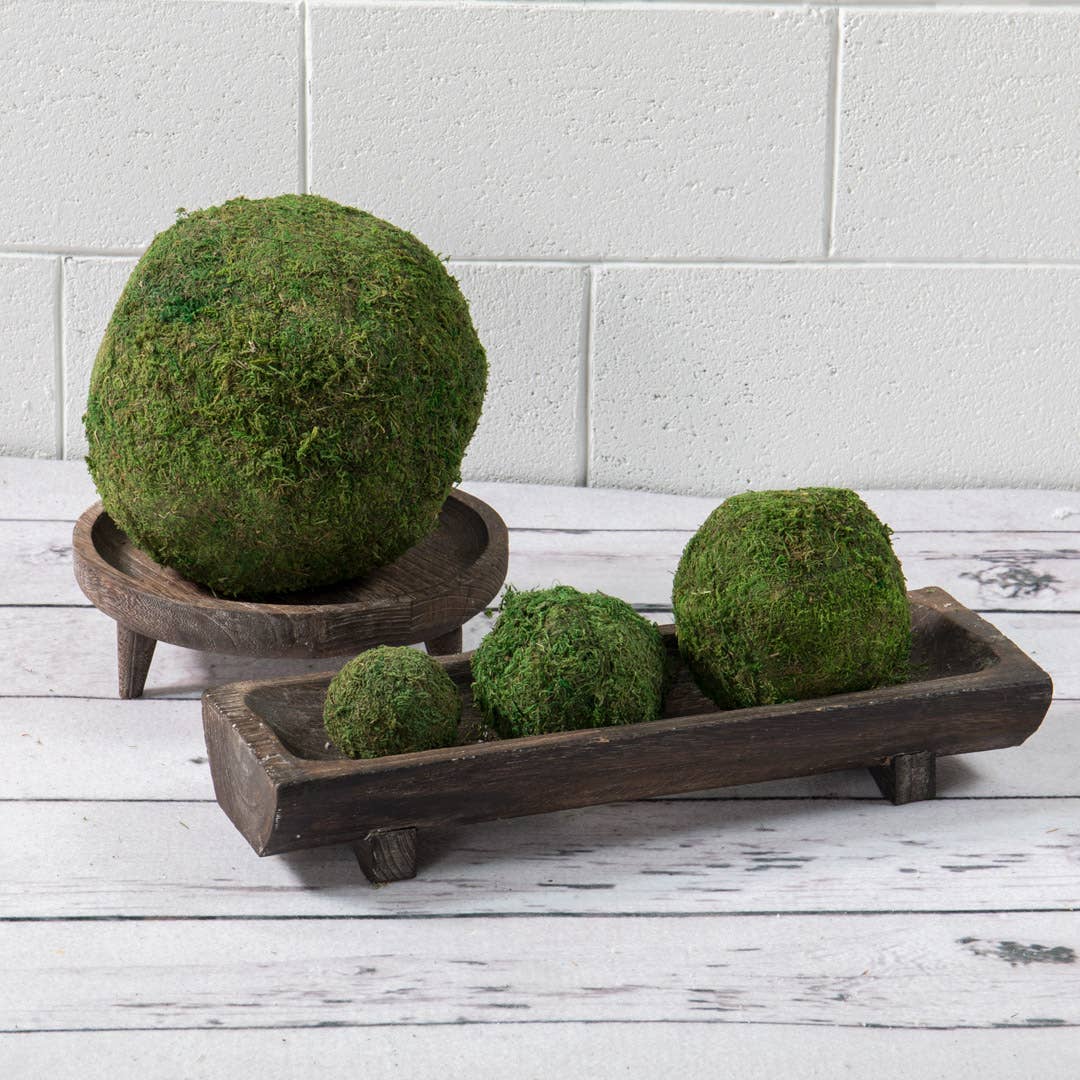Round Moss Ball Garden Arrangement 4"