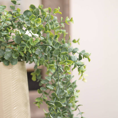 Dusty Mini Eucalyptus Hanging Bush - 32.5"