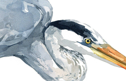 Great Blue Heron Watercolor Study Coastal Bird Wall Art