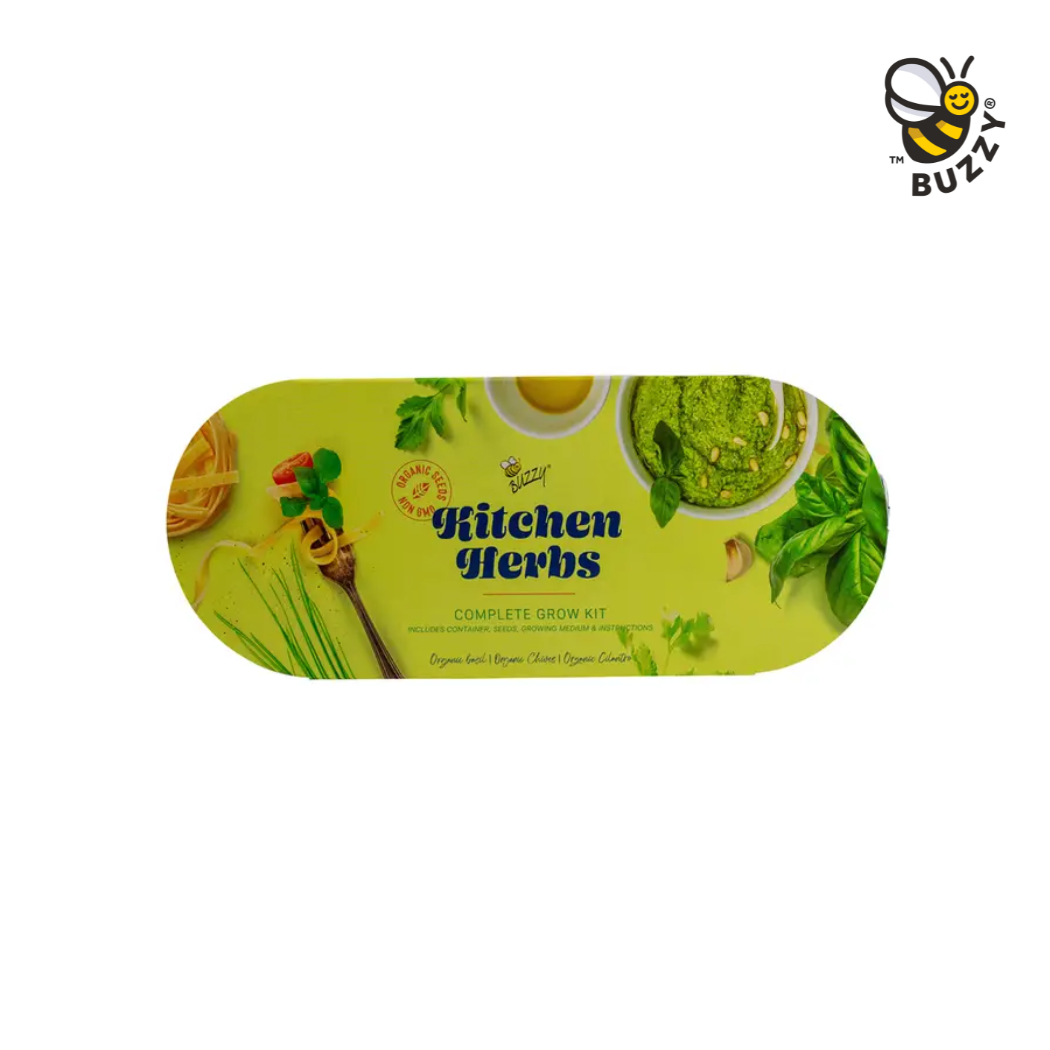Galvanized Windowsill Kitchen Herb Grow Kit – Indoor Gift