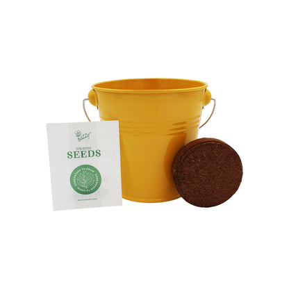 Pollinator Grow Kit