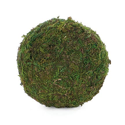 Round Moss Ball Garden Arrangement 4"