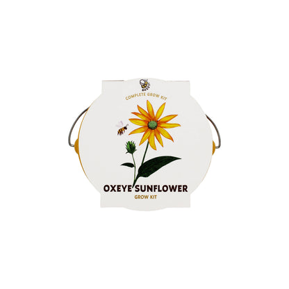 Pollinator Grow Kit