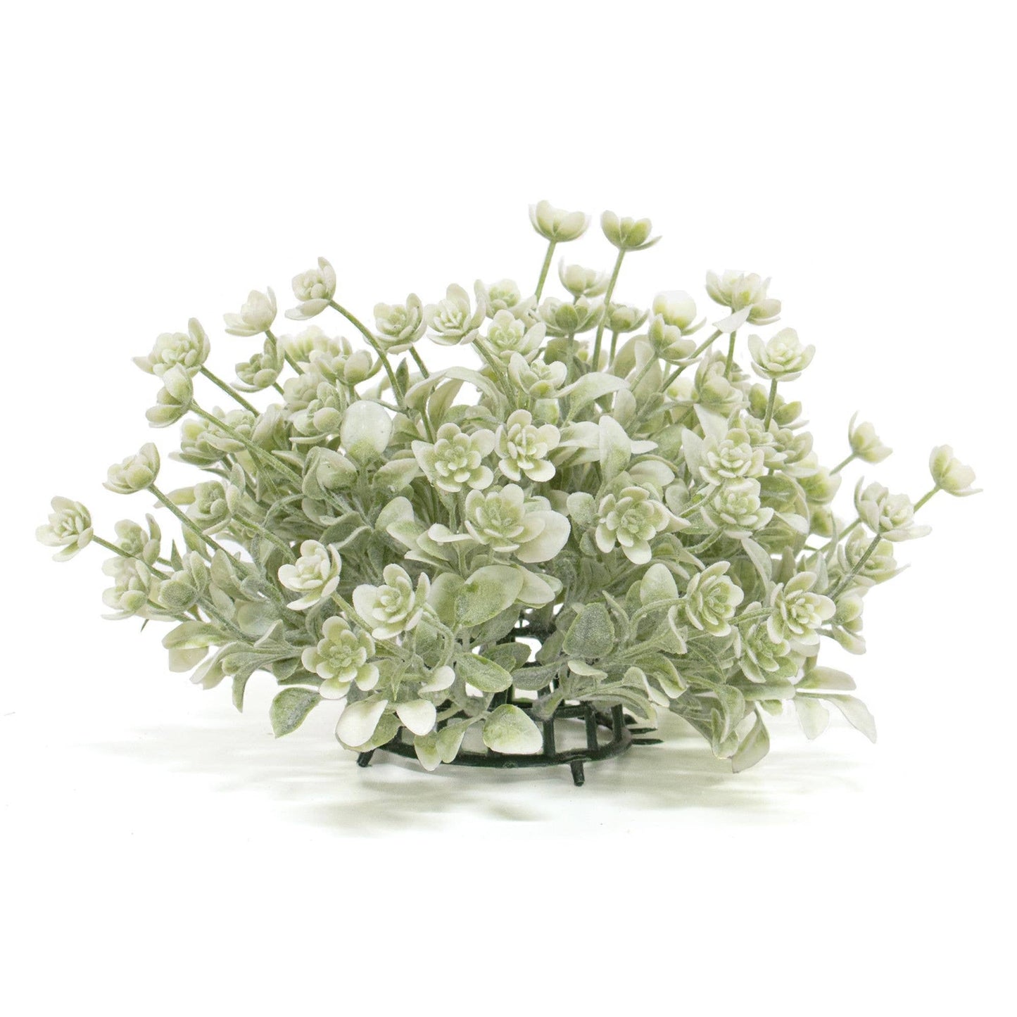 White Star Lavender Buds Half Sphere, 10"