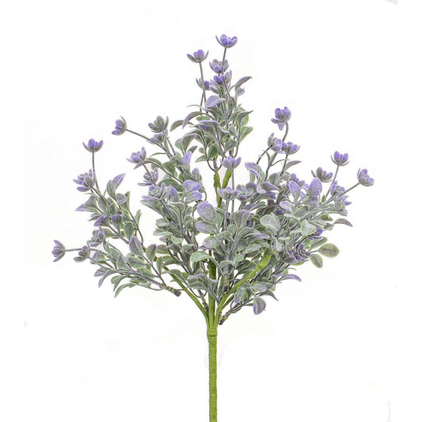 Dusk Lavender Buds Bush, 12"