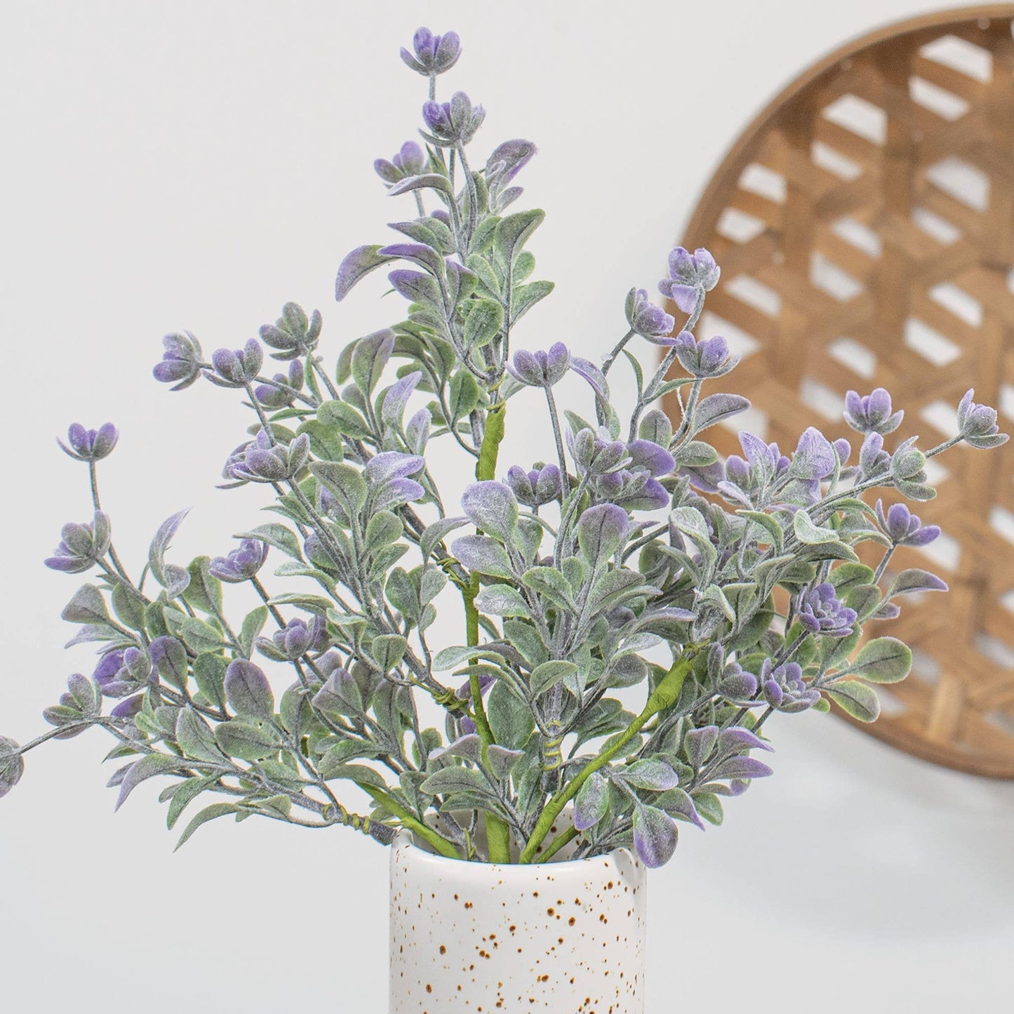 Dusk Lavender Buds Bush, 12"