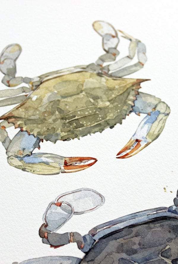 Blue Crabs Watercolor Painting Print