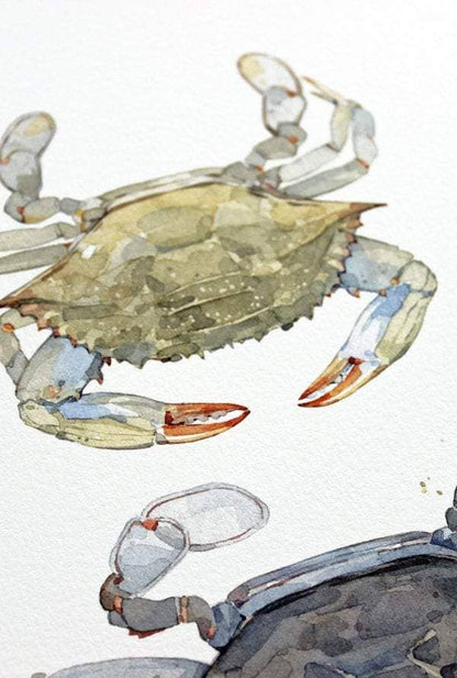 Blue Crabs Watercolor Painting Print
