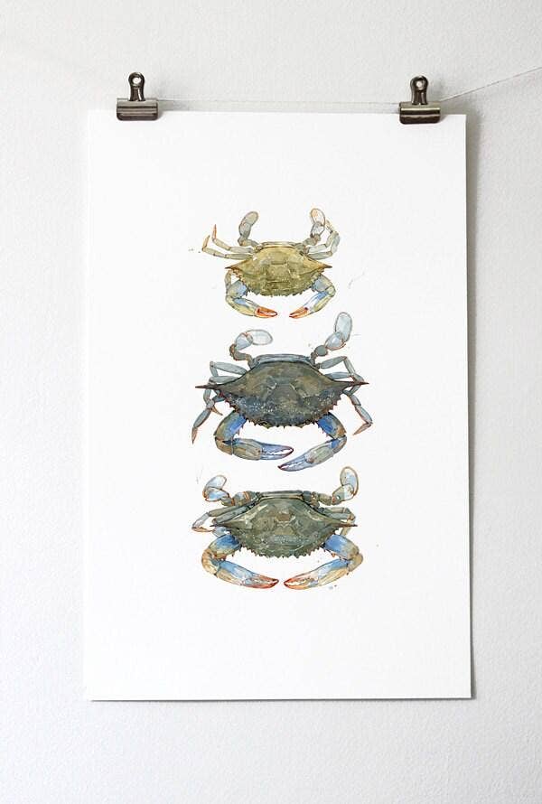 Blue Crabs Watercolor Painting Print