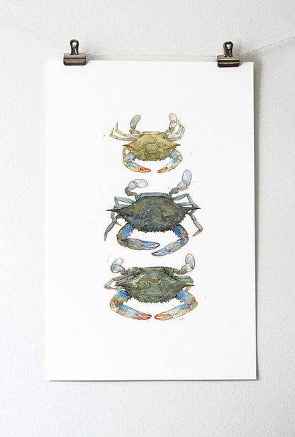 Blue Crabs Watercolor Painting Print