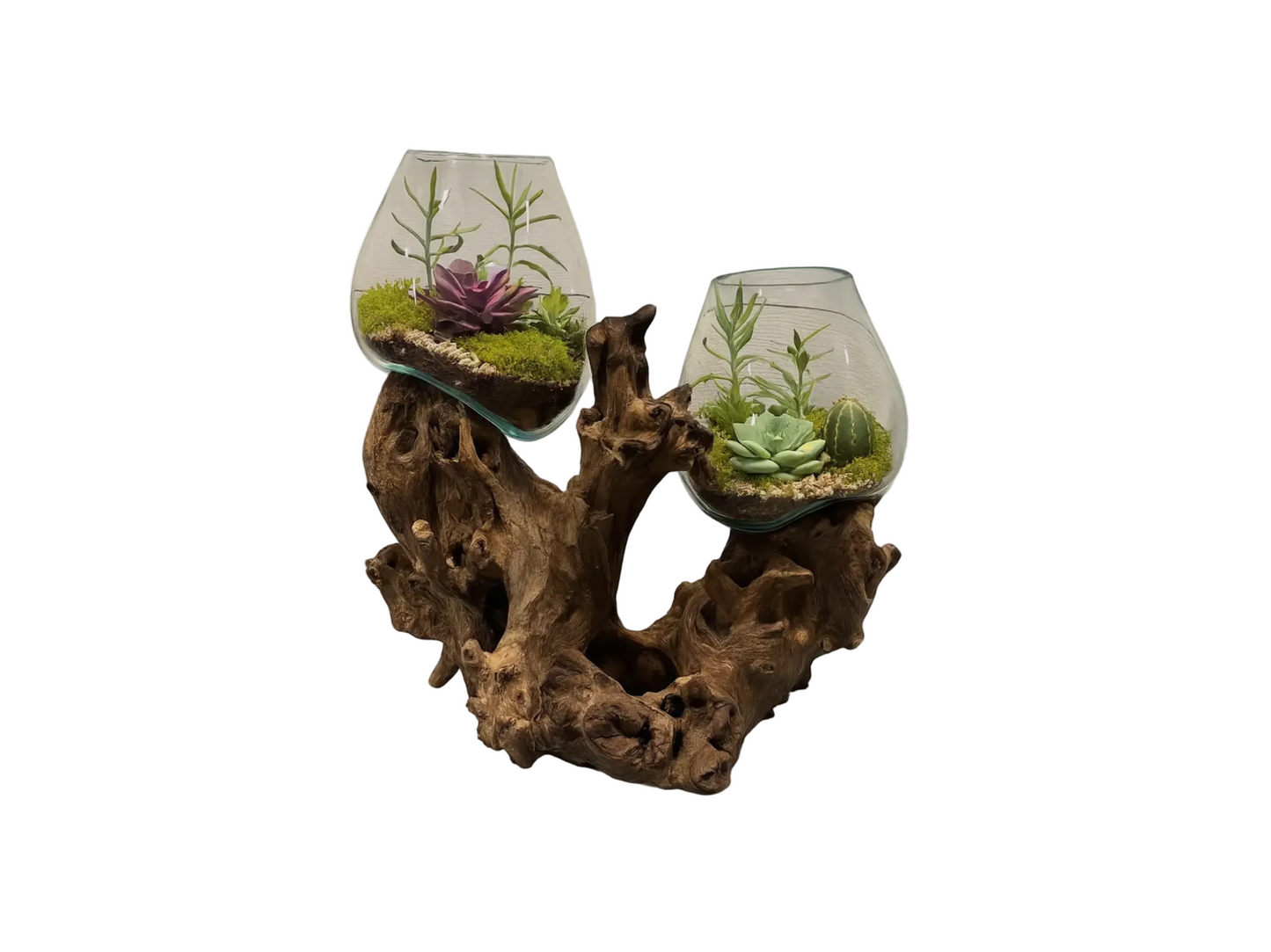 Double Terrarium