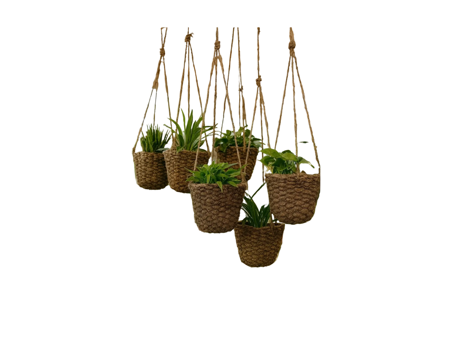 Organic Coconut Fiber Hanging Planter