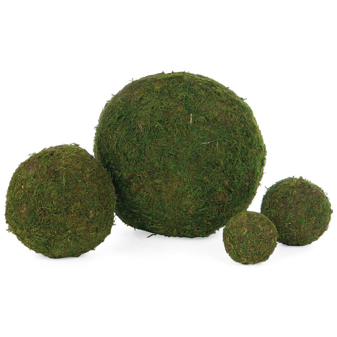 Round Moss Ball Garden Arrangement 4"