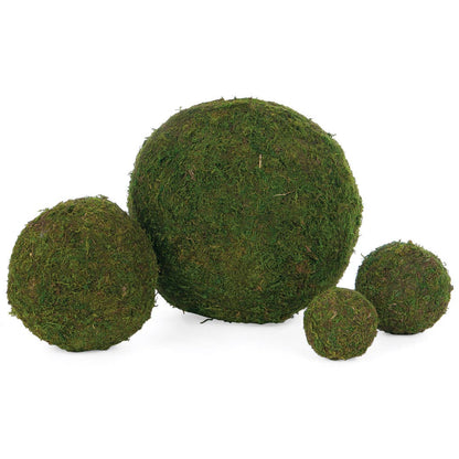 Round Moss Ball Garden Arrangement 4"