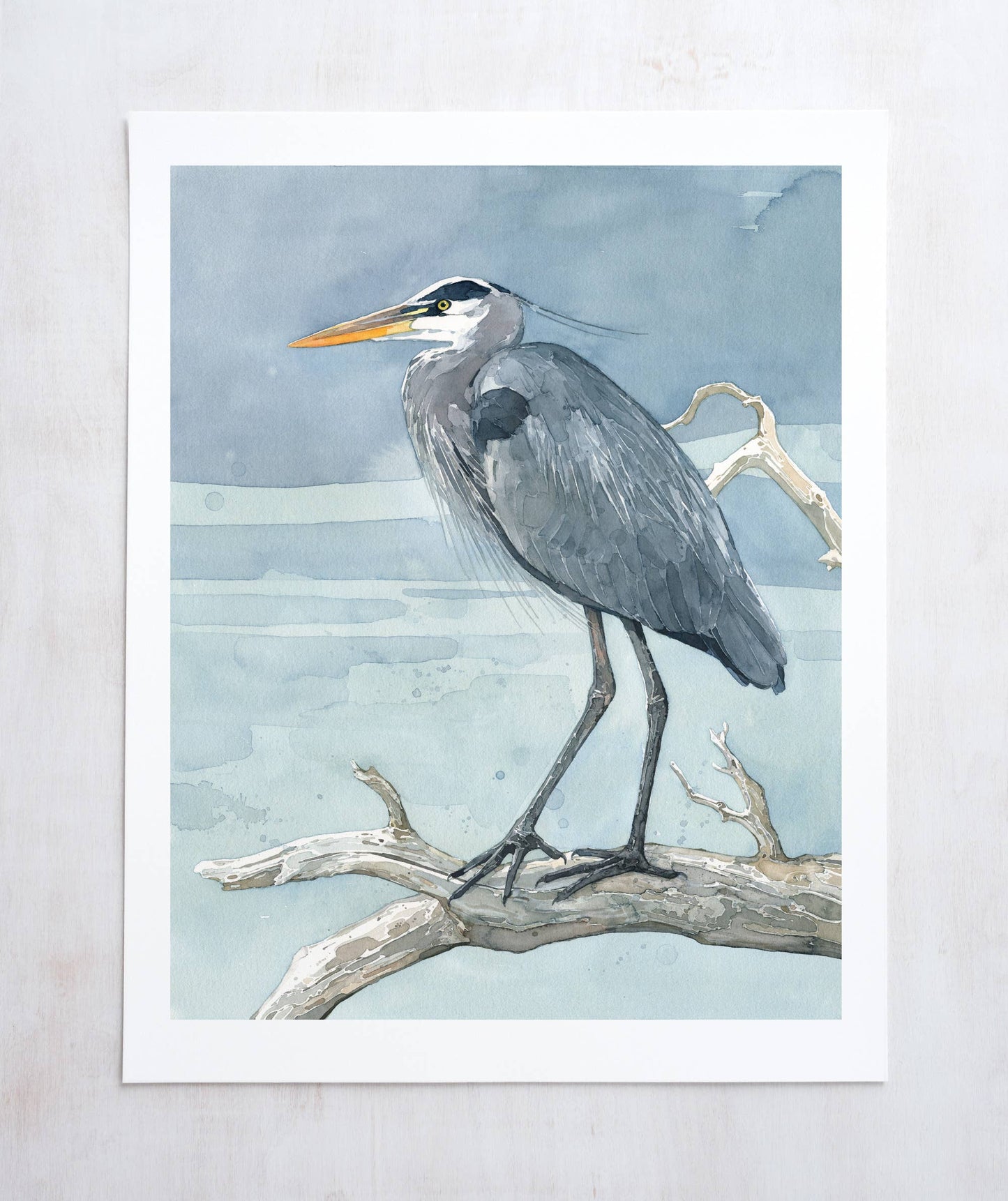 Great Blue Heron on Branch Watercolor Painting